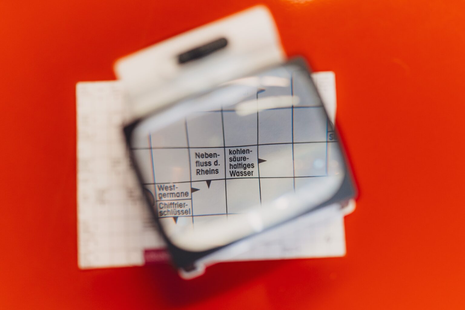 49_2024_11_23_Optik_Schroeder_Sehen_CWarneke